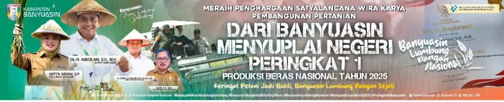 Iklan Banyuasin Top Header Single Post