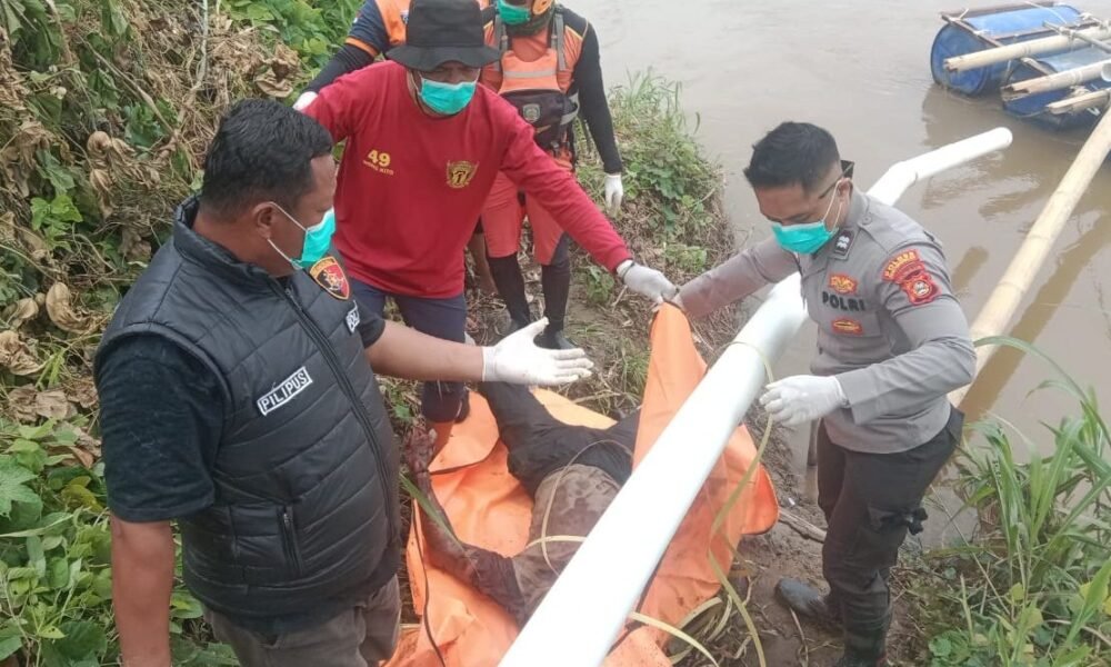 Tim SAR Gabungan mengevakuasi jenazah Herman (32) yang ditemukan mengapung di Sungai Siguci, Kecamatan Cempaka, OKU Timur, Selasa (30/12/2025).