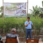 Panen Cabai dan Kerja Sama Bisnis Baru, Bukti Transformasi PETI Berjalan Sukses di Desa Darmo.