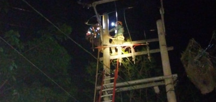 Jaringan di Penyulang Patimura Prabumulih Terganggu, PLN ULP Prabumulih Gerak Cepat