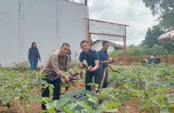 Tak Hanya Pembinaan Mental, Rutan Palembang Bekali Warga Binaan Tanam Terong di SAE