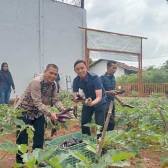 Tak Hanya Pembinaan Mental, Rutan Palembang Bekali Warga Binaan Tanam Terong di SAE Tak Hanya Pembinaan Mental, Rutan Palembang Bekali Warga Binaan Tanam Terong di SAE