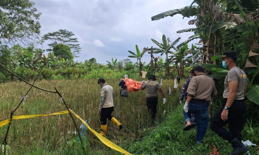 Mayat Perempuan Tanpa Identitas Membusuk di Tepi Sawah, Warga Merah Mata Gempar ⠀