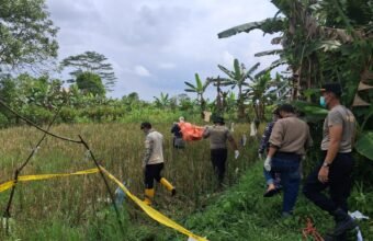 Mayat Perempuan Tanpa Identitas Membusuk di Tepi Sawah, Warga Merah Mata Gempar ⠀