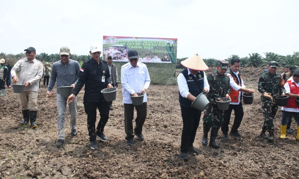 Sinergi TNI dan Pemerintah, Tanam Padi Bersama Gubernur Sumsel di Desa Sungai Dua Banyuasin