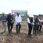 Sinergi TNI dan Pemerintah, Tanam Padi Bersama Gubernur Sumsel di Desa Sungai Dua Banyuasin