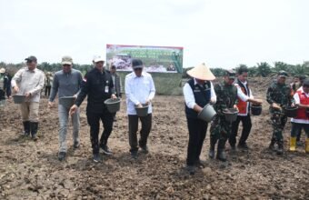 Sinergi TNI dan Pemerintah, Tanam Padi Bersama Gubernur Sumsel di Desa Sungai Dua Banyuasin