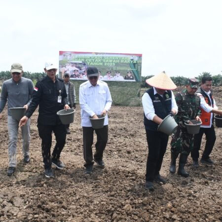 Sinergi TNI dan Pemerintah, Tanam Padi Bersama Gubernur Sumsel di Desa Sungai Dua Banyuasin