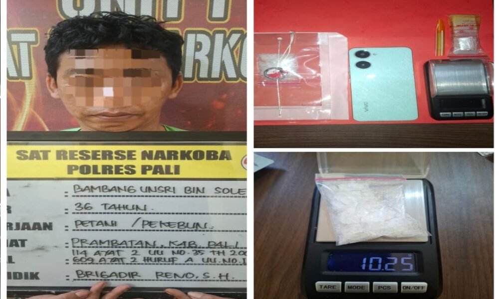 Edarkan Sabu-Sabu dalam Kebun Sawit, Petani di PALI Dibekuk dalam Pondok