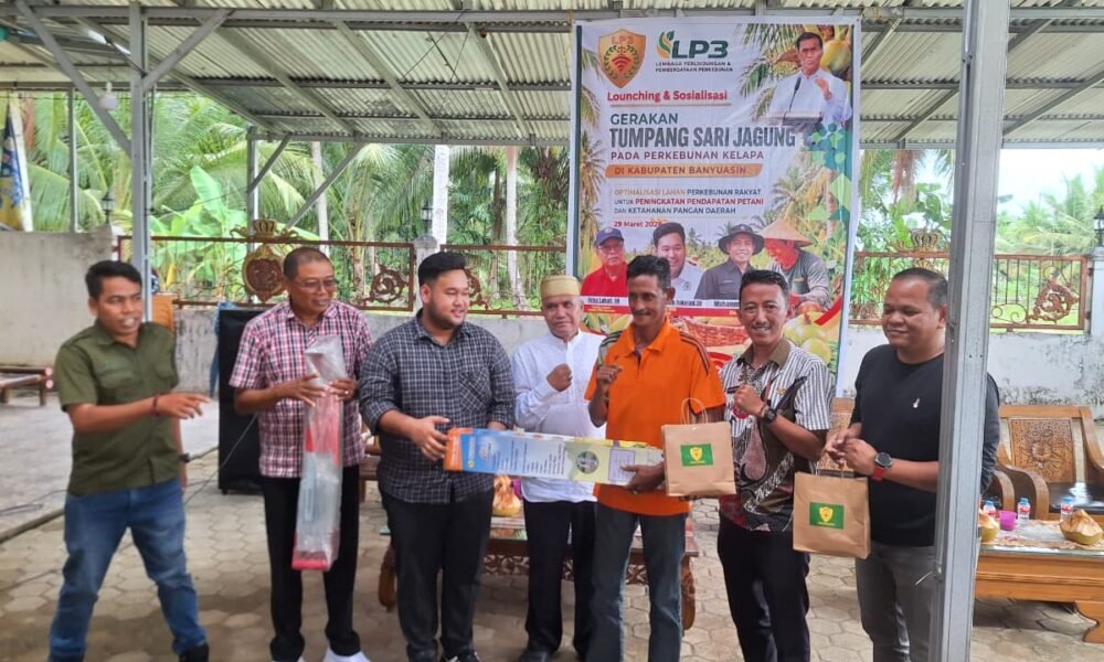 Dorong Kesejahteraan Petani, LP3 Launching Gerakan Tumpang Sari Jagung di Banyuasin