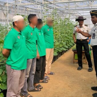 Sukses Panen Perdana, Rutan Palembang Lanjutkan Penanaman Melon Tahap Kedua Sukses Panen Perdana, Rutan Palembang Lanjutkan Penanaman Melon Tahap Kedua