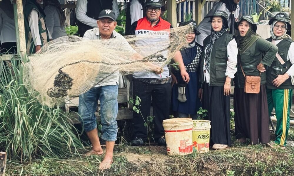 Budidaya Ikan 'Karo Mamang' Gerakkan Ekonomi Kelurahan Mangunjaya