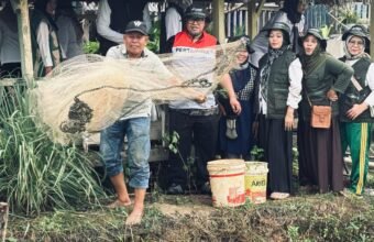 Budidaya Ikan 'Karo Mamang' Gerakkan Ekonomi Kelurahan Mangunjaya