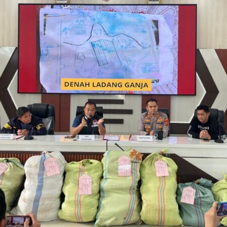 Bongkar Ladang Ganja di Empat Lawang, Polda Sumsel Tangkap Bandar Jaringan Lintas Provinsi hingga Jawa Bongkar Ladang Ganja di Empat Lawang, Polda Sumsel Sita 220 Kg Ganja, Jaringan Lintas Provinsi hingga Jawa
