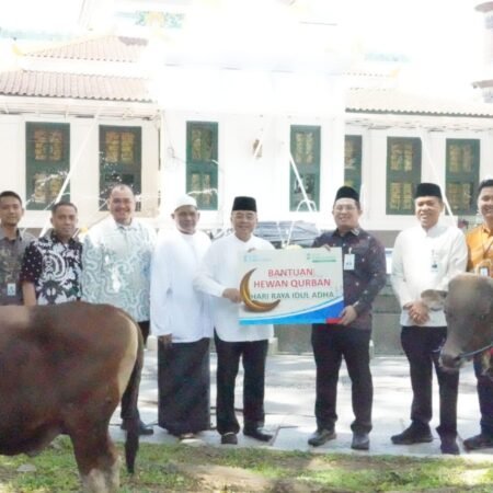 Iduladha 1447 H Bank Sumsel Babel Distribusikan Bantuan Hewan Kurban ke Masyarakat