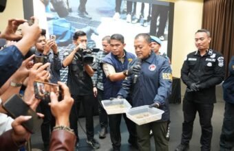 Sindikat Ladang Ganja 20 Hektar di Empat Lawang Dibongkar, 220 Kg Ganja Disita