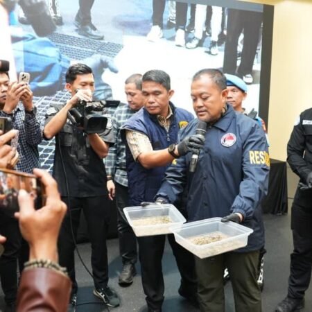 Sindikat Ladang Ganja 20 Hektar di Empat Lawang Dibongkar, 220 Kg Ganja Disita