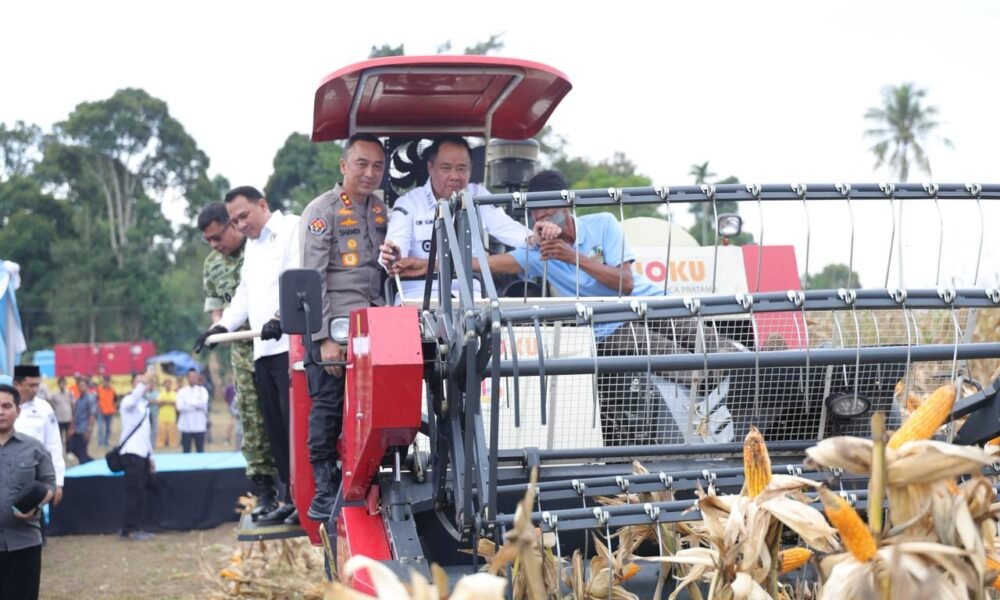 Sinergi Lintas Sektor, Kapolda Sumsel Pimpin Panen Raya Jagung dan Dorong Swasembada Pangan
