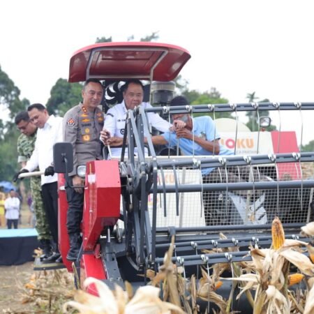 Sinergi Lintas Sektor, Kapolda Sumsel Pimpin Panen Raya Jagung dan Dorong Swasembada Pangan