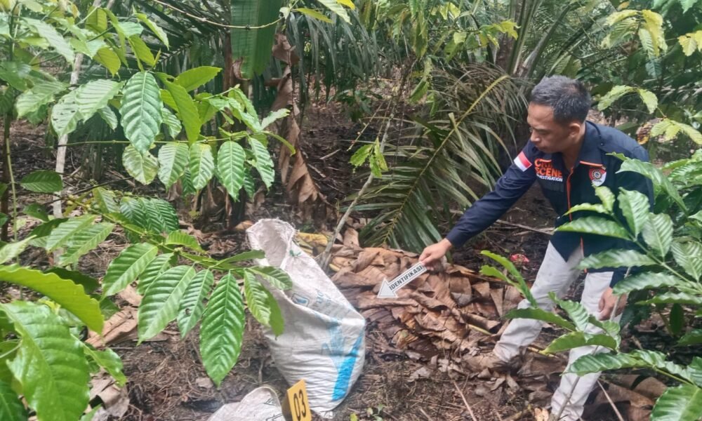 Polisi Ungkap Kasus Pembunuhan Modus Amuk Massa di OKU Selatan, Satu Pelaku Ditangkap