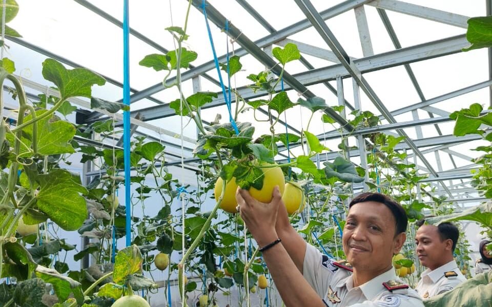 Wujudkan Pembinaan Produktif dan Dukung Ketahanan Pangan, Rutan Palembang Panen Melon SAE