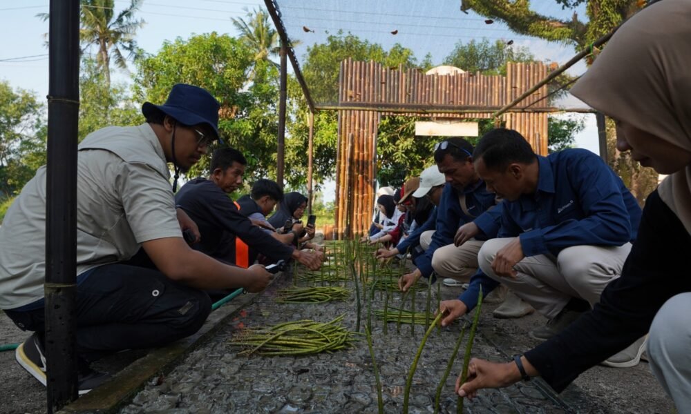PTBA Resmikan NUSA di Pasir Sakti, Perkuat Rehabilitasi Mangrove Berbasis Masyarakat