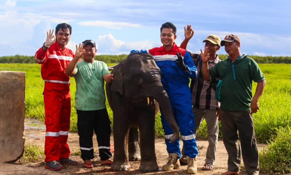 Jaga Gajah Sumatera, Kilang Plaju Rawat Warisan Alam Sumsel