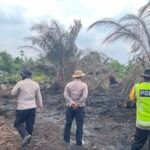 Teriakan Minta Tolong di Kebun Kelapa, Warga Sungai Lilin Muba Ditemukan Tewas Bersimbah Darah