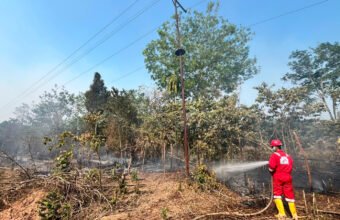 Pertamina EP Ramba Field Sigap Padamkan 17 Karhutla di Muba dan Banyuasin