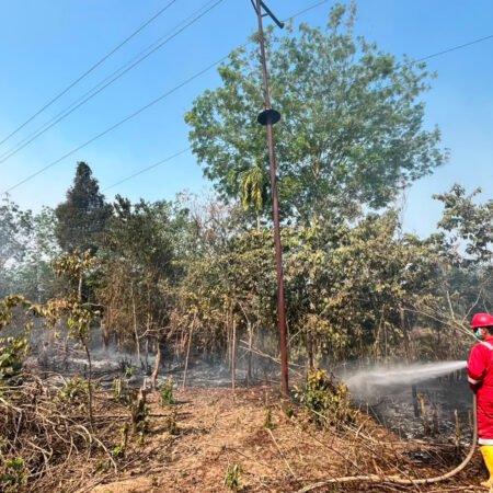 Pertamina EP Ramba Field Sigap Padamkan 17 Karhutla di Muba dan Banyuasin