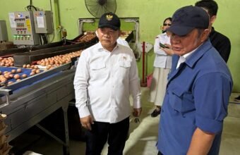 Herman Deru Dampingi Kepala Staf Kepresidenan Tinjau Peternakan Ayam Petelur di Banyuasin