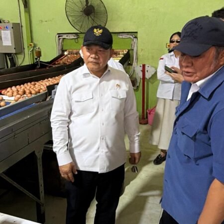 Herman Deru Dampingi Kepala Staf Kepresidenan Tinjau Peternakan Ayam Petelur di Banyuasin