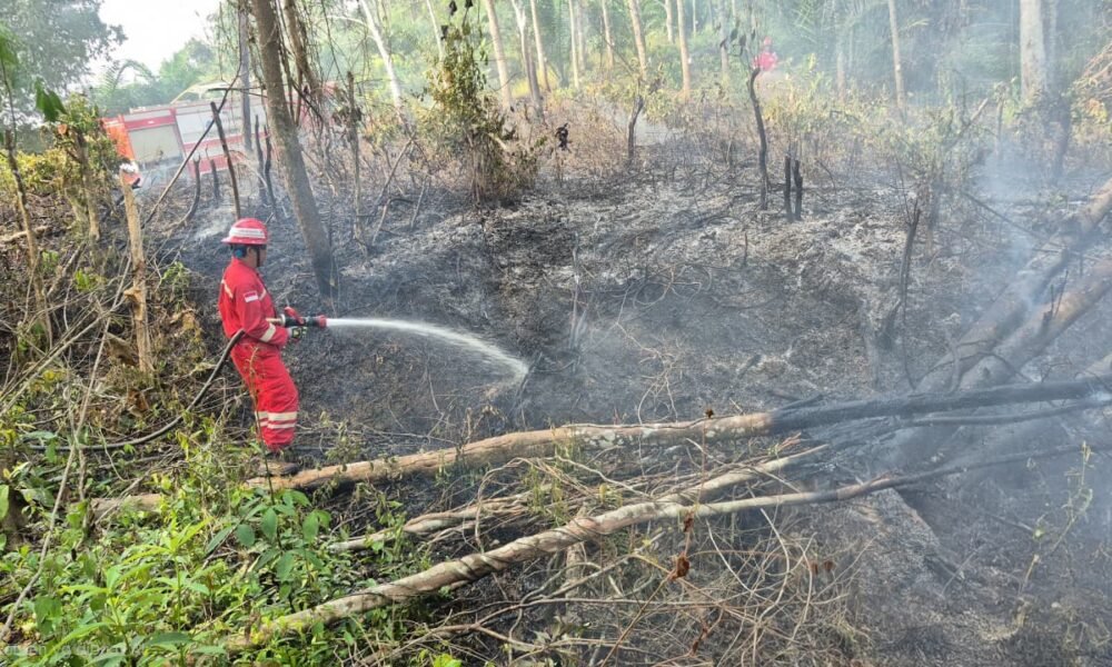 Bersama Jaga Sumsel, PHR Zona 4 Tuntas Padamkan 100 Titik Api Karhutla