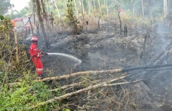 Bersama Jaga Sumsel, PHR Zona 4 Tuntas Padamkan 100 Titik Api Karhutla