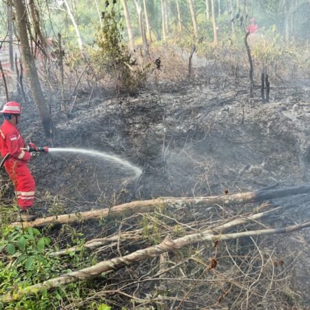 Bersama Jaga Sumsel, PHR Zona 4 Tuntas Padamkan 100 Titik Api Karhutla