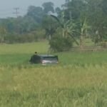Kecelakaan Beruntun di Tol Palindra, 14 Orang Penumpang Bus DAMRI Luka-Luka, Polisi Selidiki Penyebab