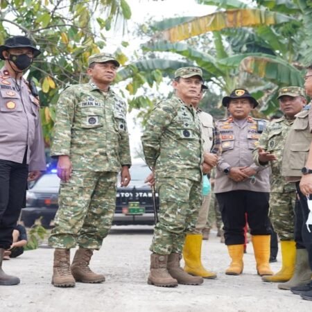 Pangdam II/Swj Tinjau Kebakaran Lahan di Desa Putak Gelumbang, Tekankan Pemadaman dan Pencegahan