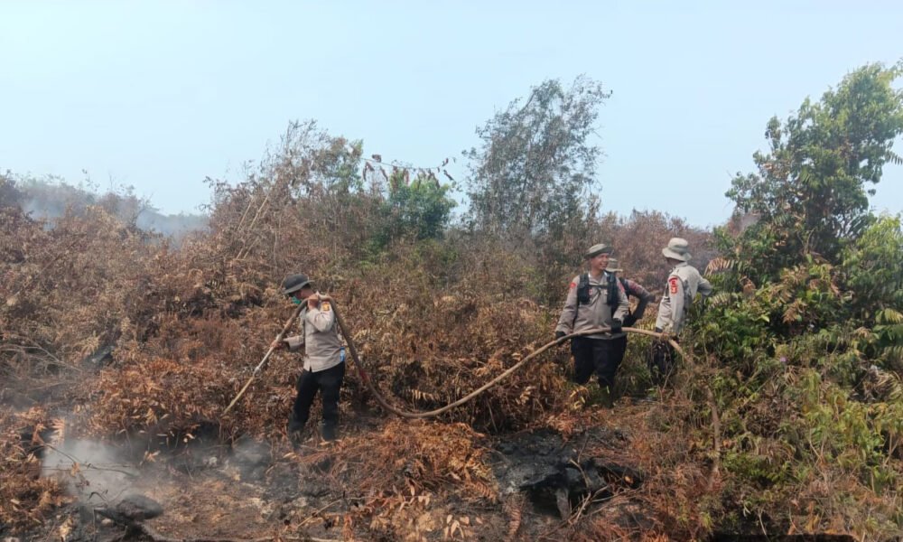 Hari Keempat Penanganan Karhutla, Satbrimob Polda Sumsel Fokus Padamkan Bara di Lahan Gambut