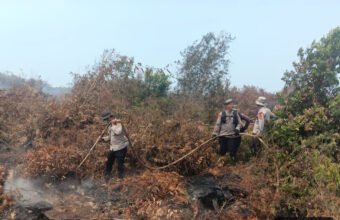 Hari Keempat Penanganan Karhutla, Satbrimob Polda Sumsel Fokus Padamkan Bara di Lahan Gambut