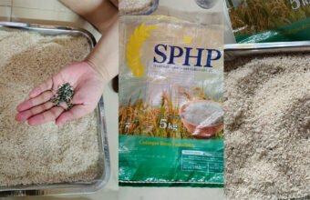 Beras SPHP Diduga Ada Batu, Warga Palembang Minta Mutu Produk Diperiksa
