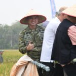 Panen 97,12 Hektare di OKU Timur, Cetak Sawah Rakyat Perkuat Ketahanan Pangan