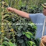 Pegawai dan Warga Binaan Rutan Palembang Dapat Cek Kesehatan Gratis, Ini Tujuannya