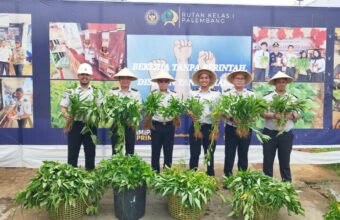 Panen Kangkung, Rutan Kelas I Palembang Perkuat Ketahanan Pangan Lewat Lahan Produktif