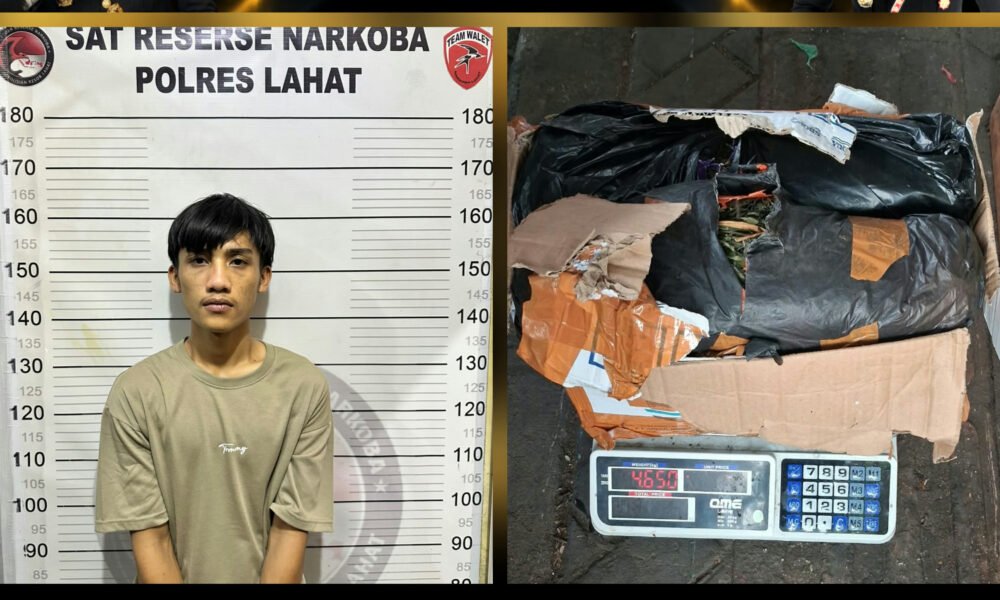 Polisi Temukan 5 Paket Besar Ganja di Lahat, Beratnya Capai 4,65 Kg