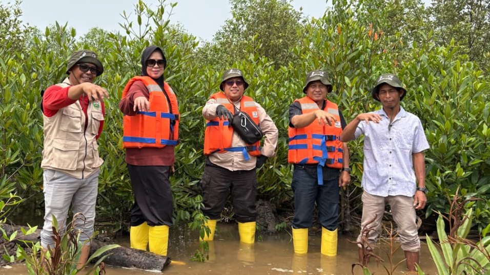 Medco E&P Tanam 22.000 Mangrove di Banyuasin, Ekosistem Pesisir Sungsang IV Jadi Perhatian